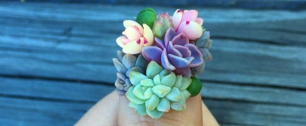 Succulent Nail Art