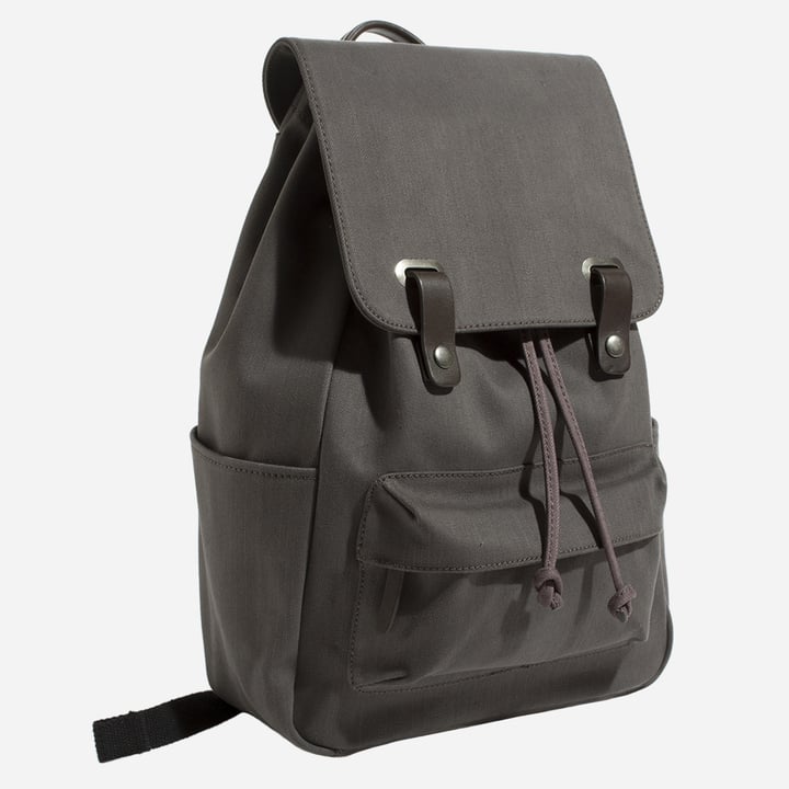backpacks similar to everlane