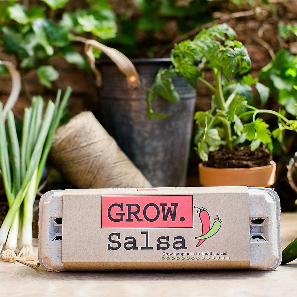 Salsa Grow Kit