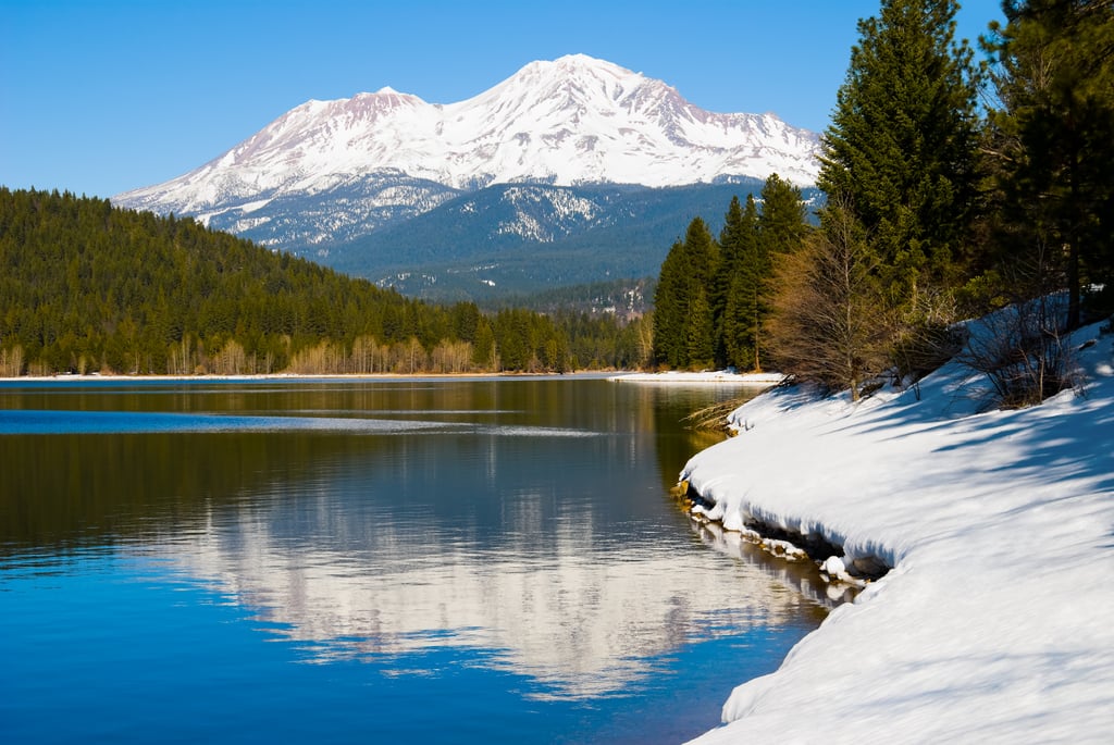 Mount Shasta Region