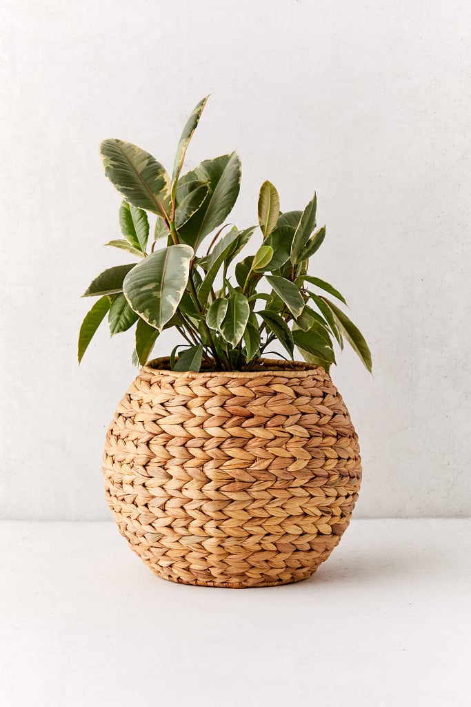 Wyn Woven Planter Basket