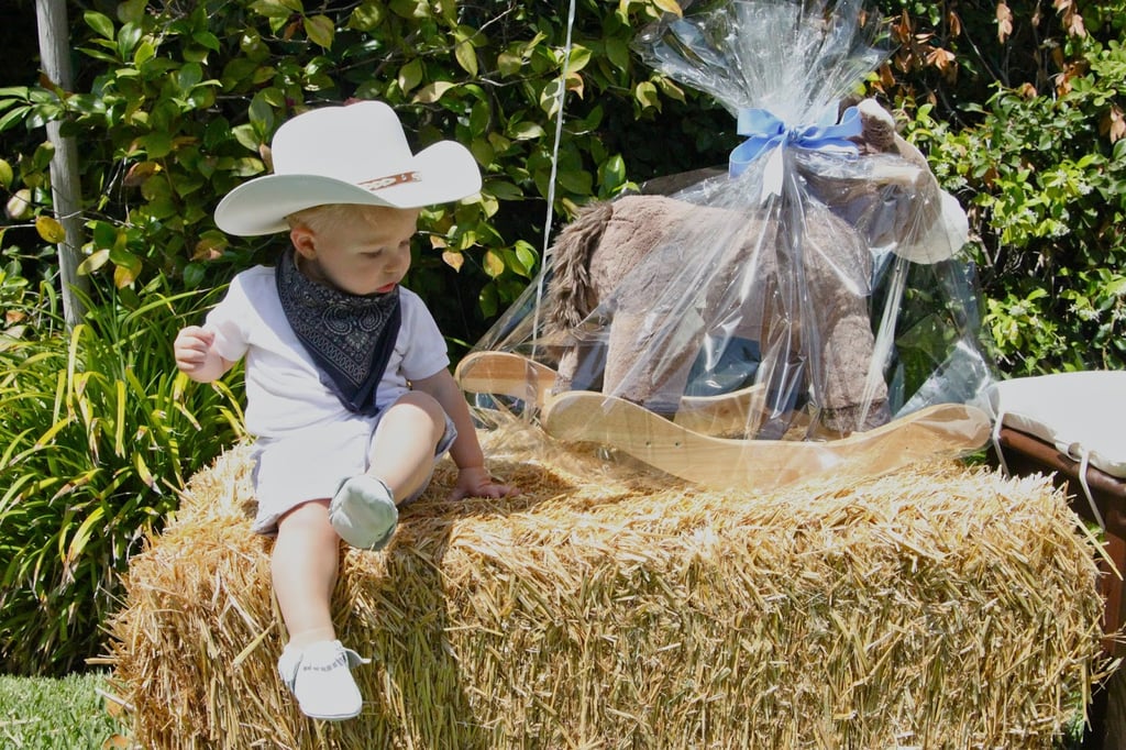 Vintage Horse Hoedown Baby Shower
