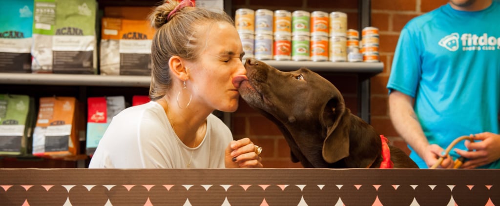 Dog Kissing Booth