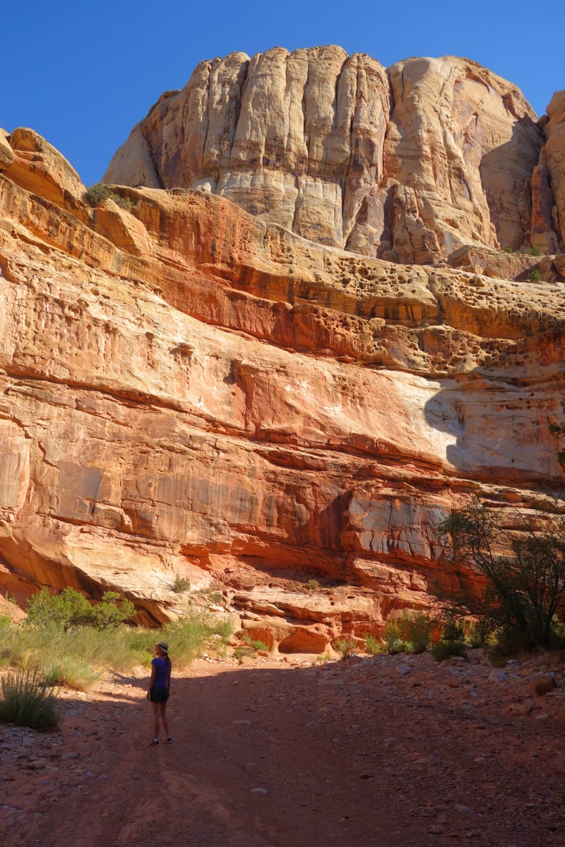 Grand Wash Trail in Capitol Reef National Park