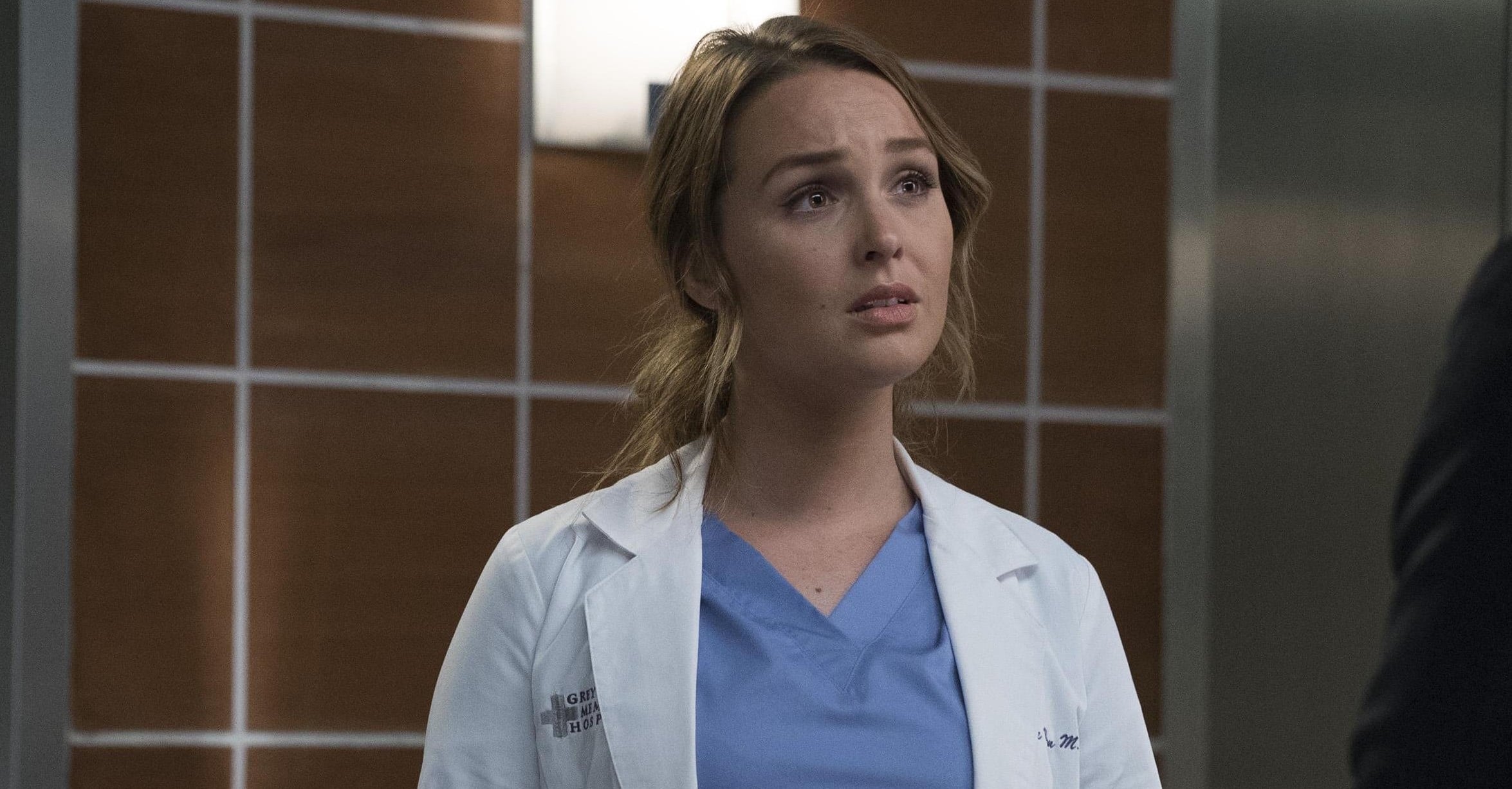 Grey's Anatomy Season 14 Winter Premiere Details | PS Entertainment