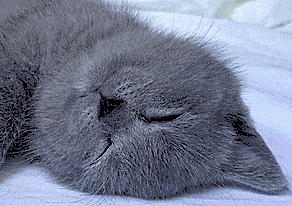You have said ridiculously embarrassing things in your sleep before.