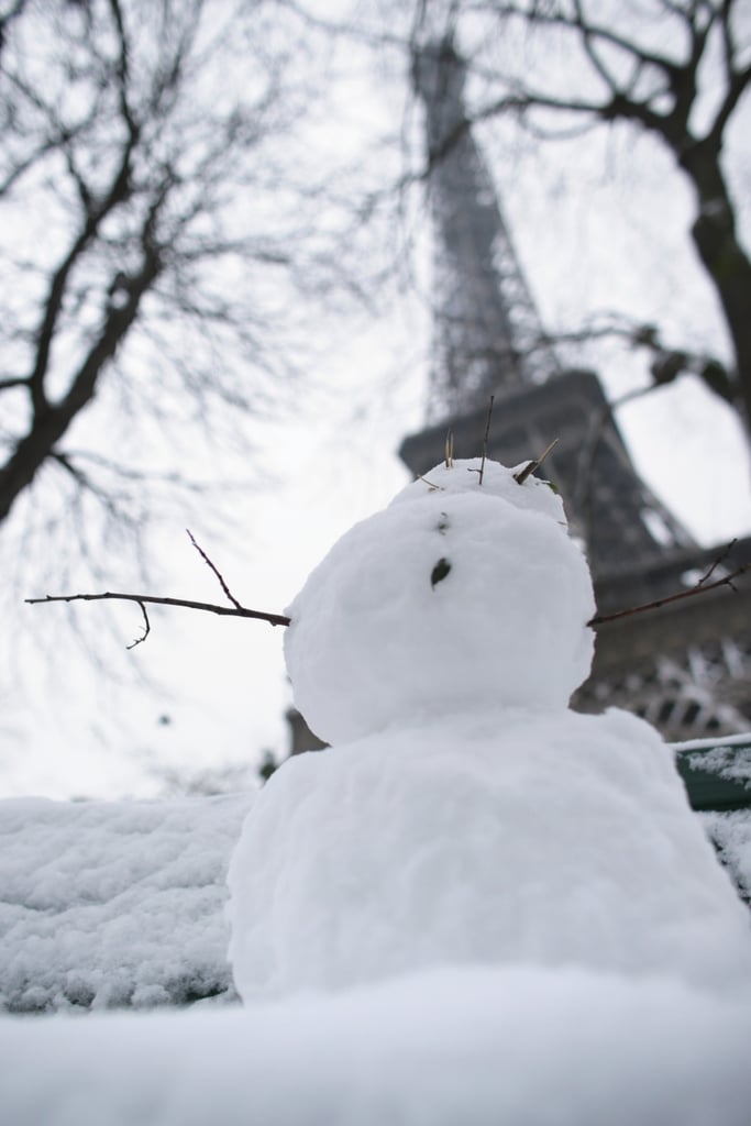 Eiffel Tower Pictures