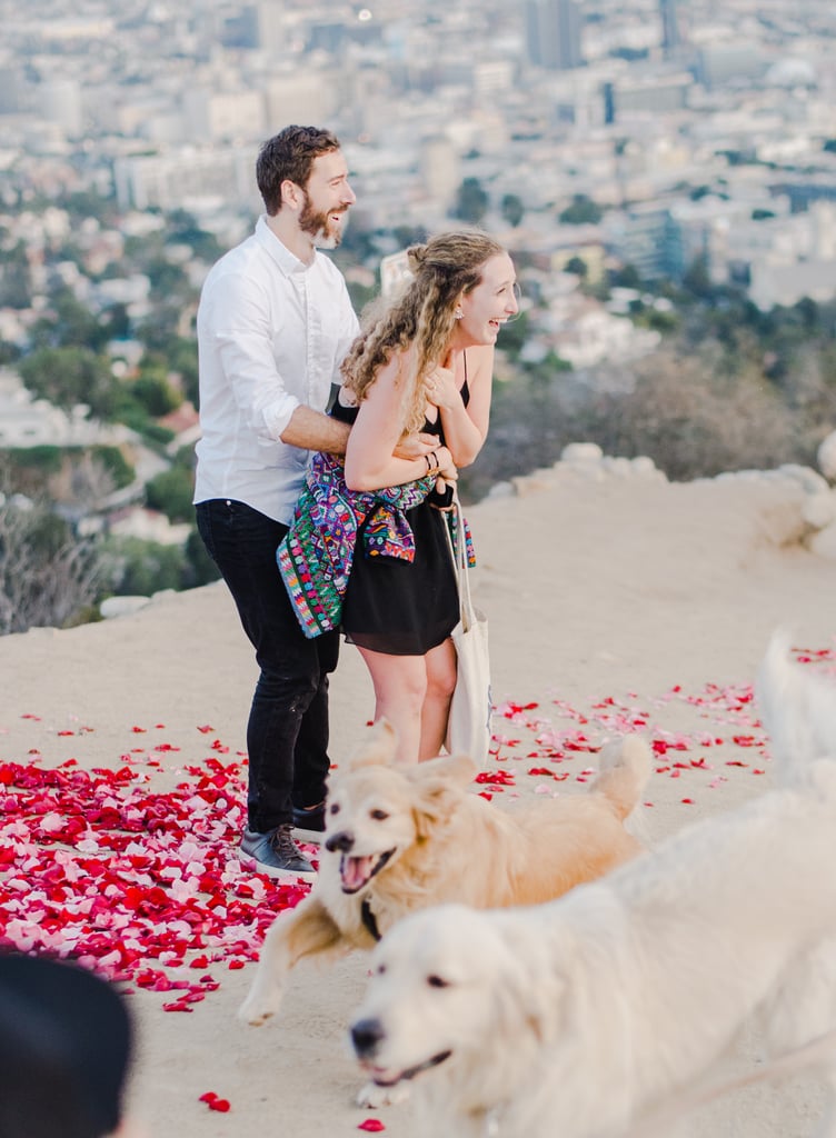 Man Proposes to His Girlfriend With 16 Dogs