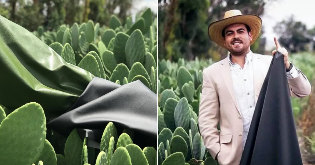 The Future of Vegan Leather Is Plant-Based, and It’s Made from Cactus, Pineapples, and Mushrooms
