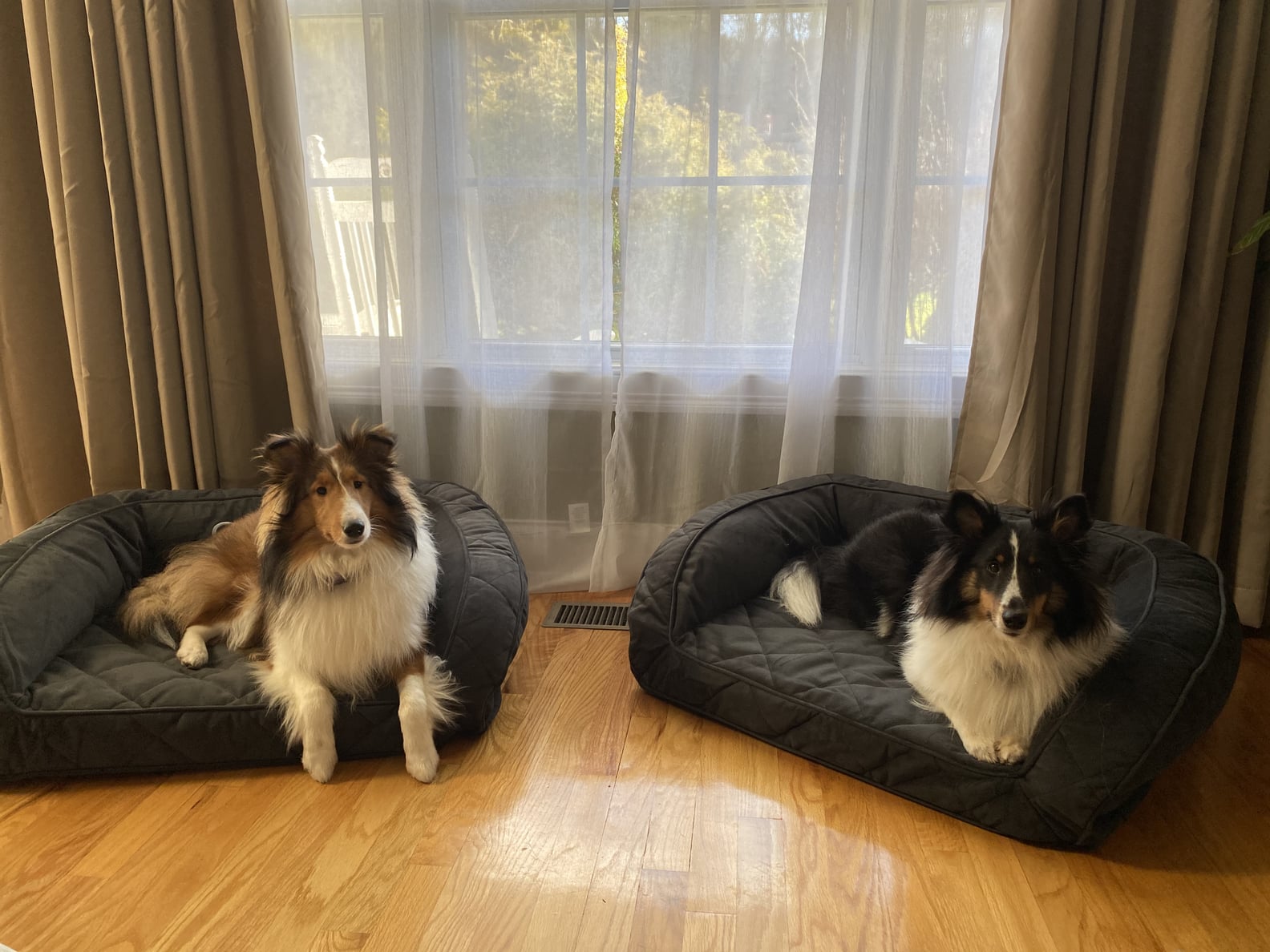 This Orvis Dog Bed Is the Only One My Puppies Like Review POPSUGAR Pets