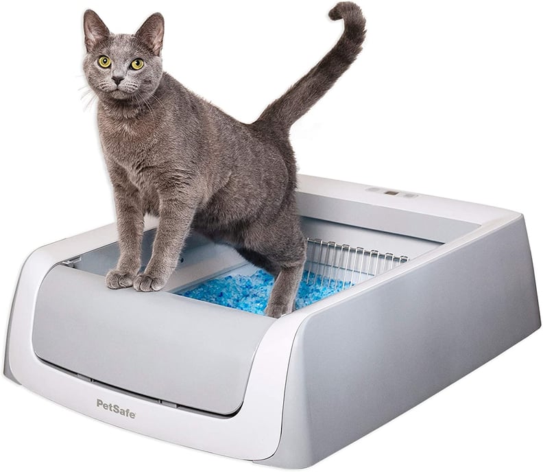 Best Self-Cleaning Litter Box With Disposable Tray