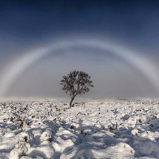What Is a White Rainbow?