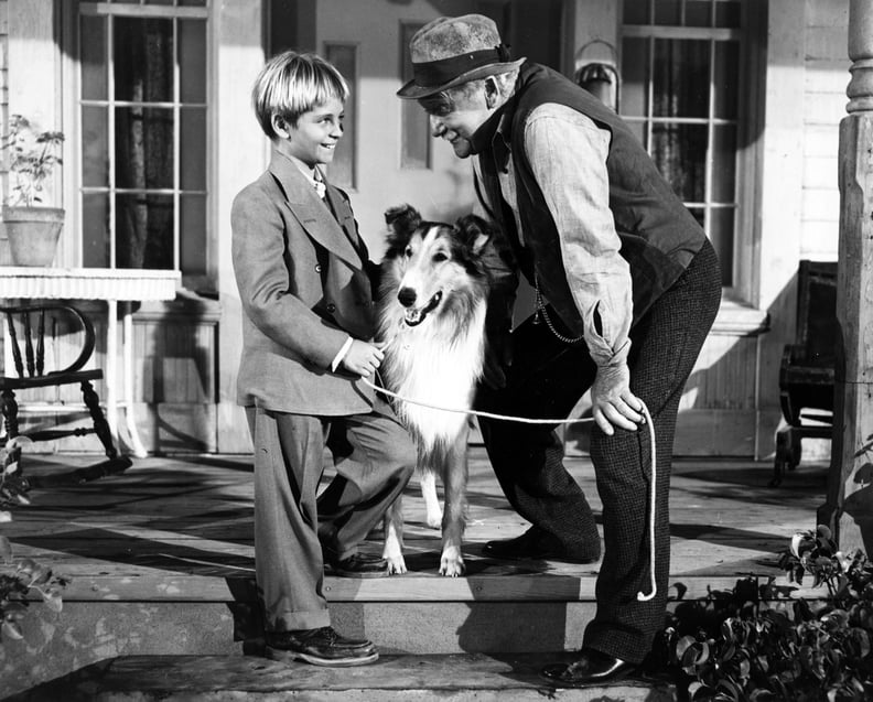 "Lassie" (1954-1971)