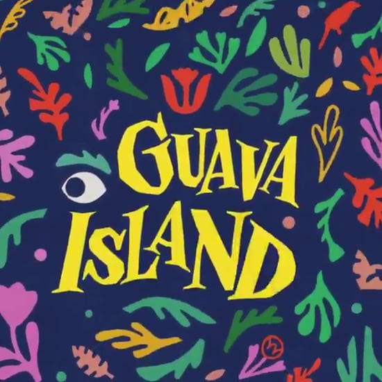 What Is Guava Island About?