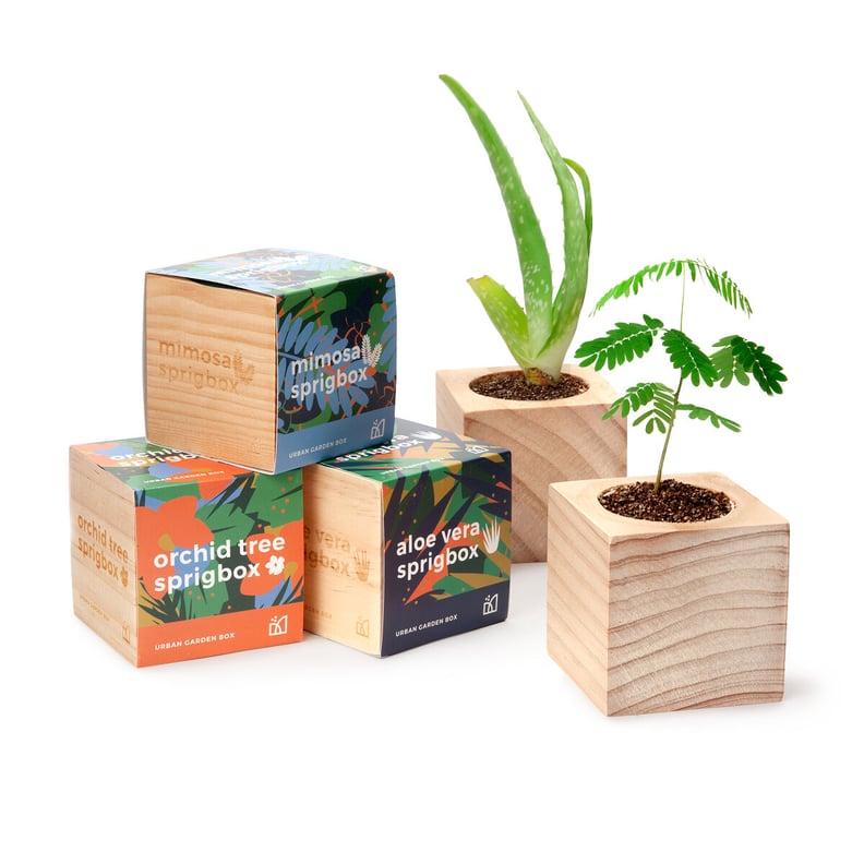 Tropical Trio Grow Set