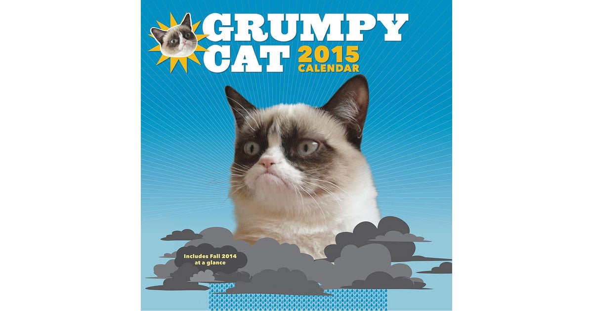 Grumpy Cat Calendar (14) Geeky 2015 Calendars POPSUGAR Tech Photo 10