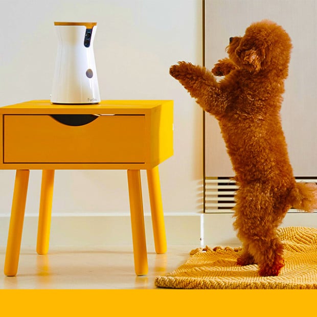 Meet Furbo, the future of pet products. This treat-popping camera ($119) is still in the Indiegogo stage but has already surpassed its funding goal by over 700 percent. The camera connects to your phone and allows you to wirelessly give your pup a treat from anywhere. How cool is that?
