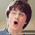 37 Harry Potter Quotes Muggles Can Use IRL