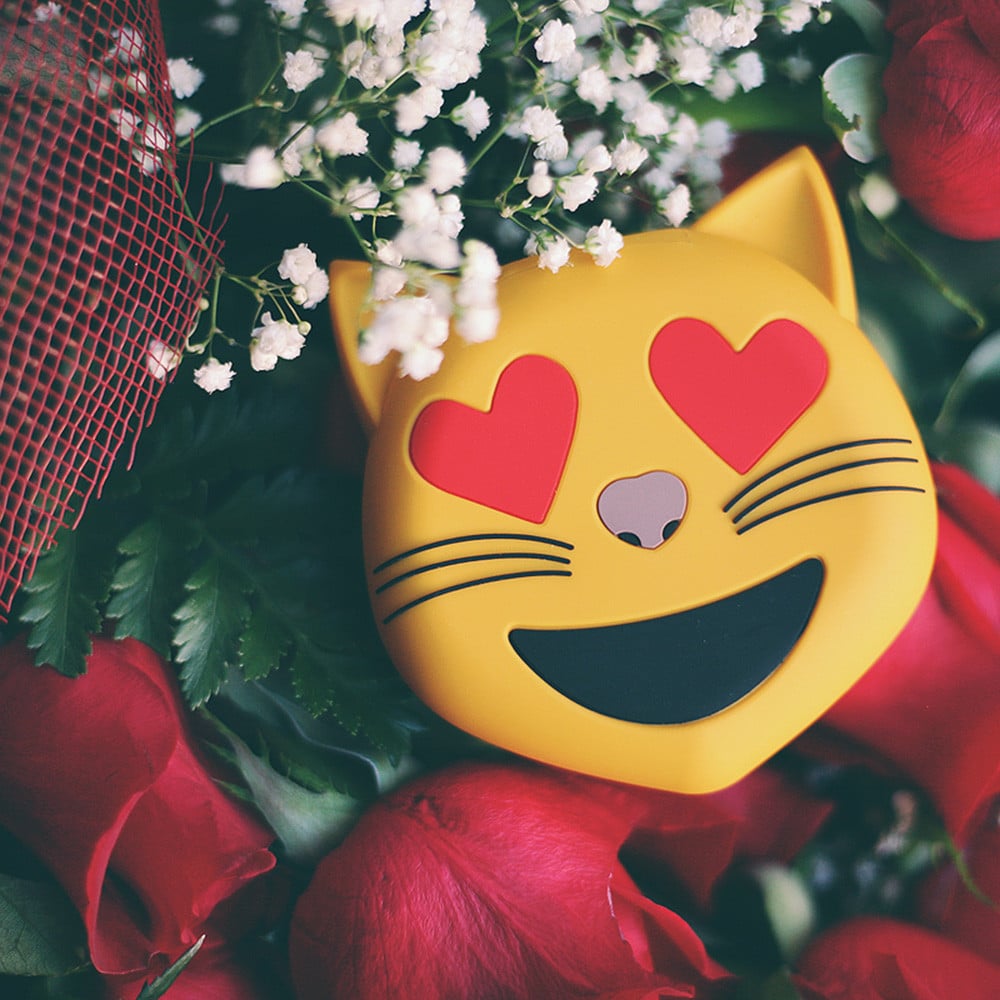 Smitten Kitten Power Bank ($24, originally $40)