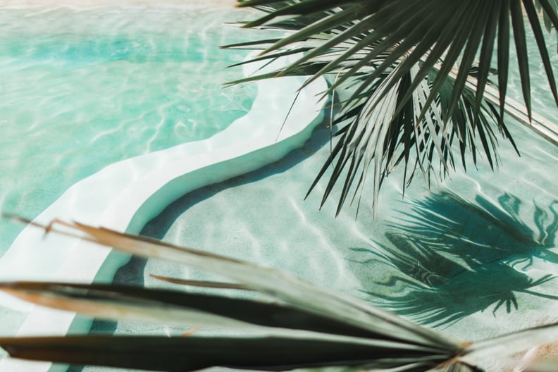 A serene swimming pool surrounded by palm fronds