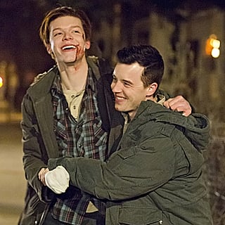 Ian and Mickey, Shameless