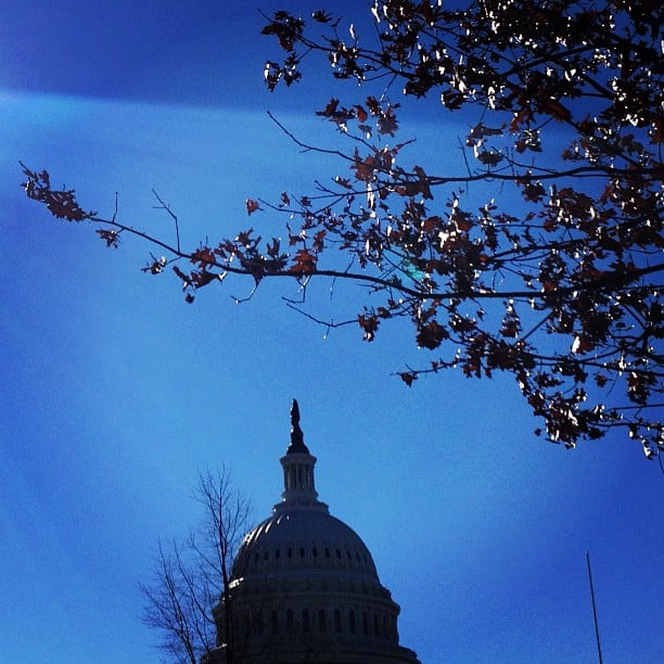 Gorgeous day in DC!