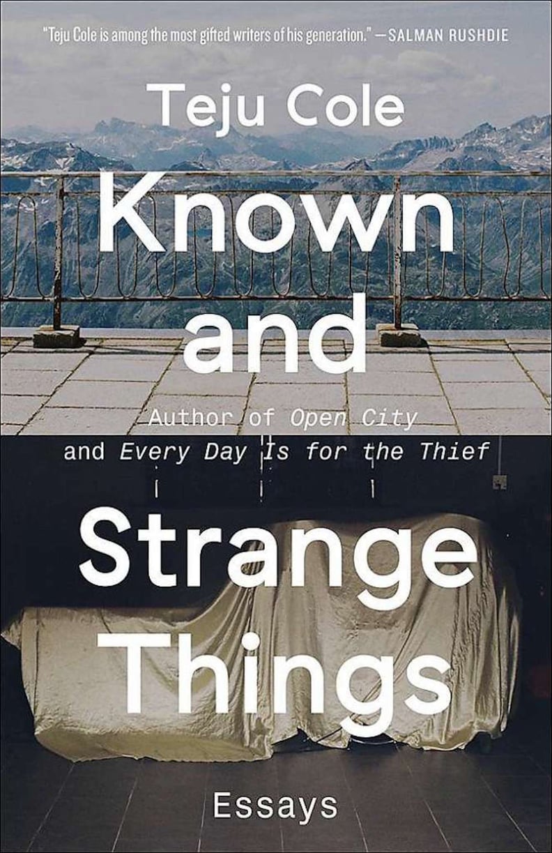 Known and Strange Things by Teju Cole