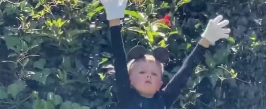 Boy Performs Disney's Fantasmic Show in Backyard | Video