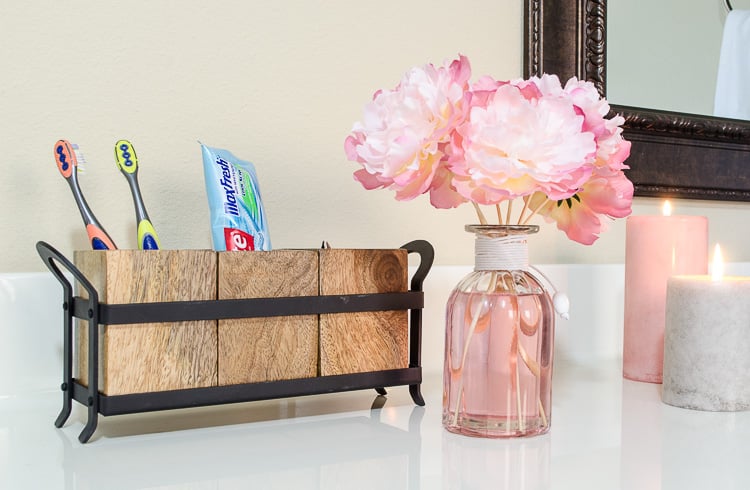 Toothbrushes and Holder