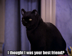 Sabrina, the Teenage Witch Salem GIFs | PS Entertainment