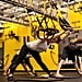 How to Do a Yoga Headstand With TRX