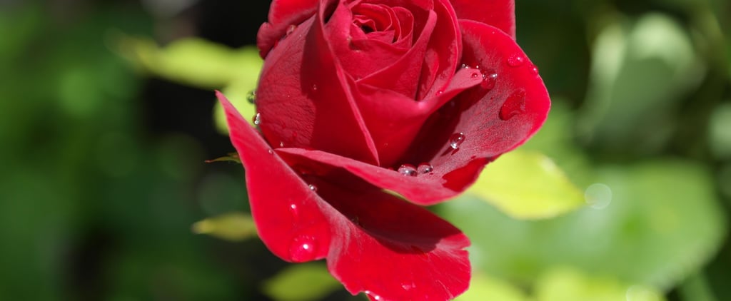 History of Valentine's Day