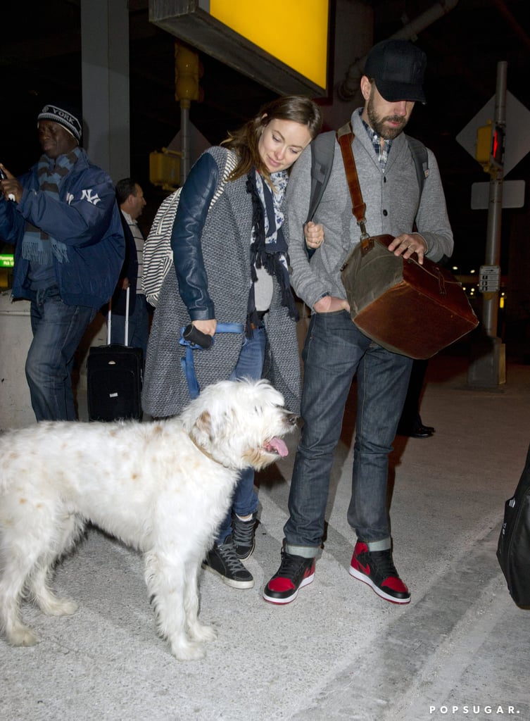 Olivia Wilde leaned on Jason Sudeikis and looked at their fluffy dog after arriving in NYC on Tuesday.
