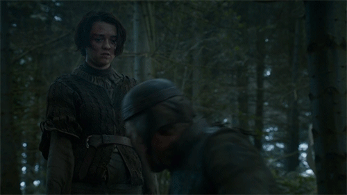 A Lone Frey Soldier