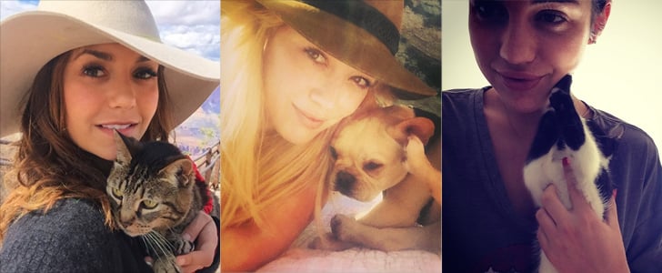 Celebrities and Their Pets