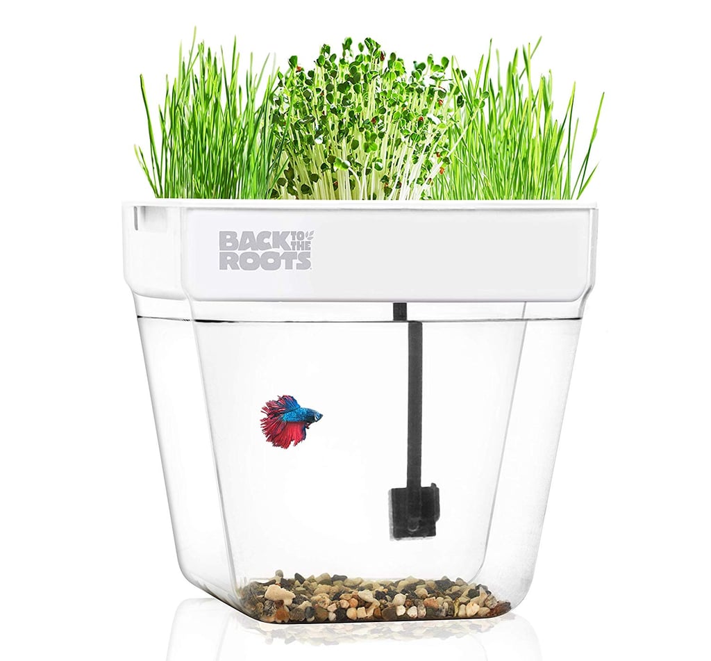 For a Two-in-One Solution: Back to the Roots Water Garden Aquarium