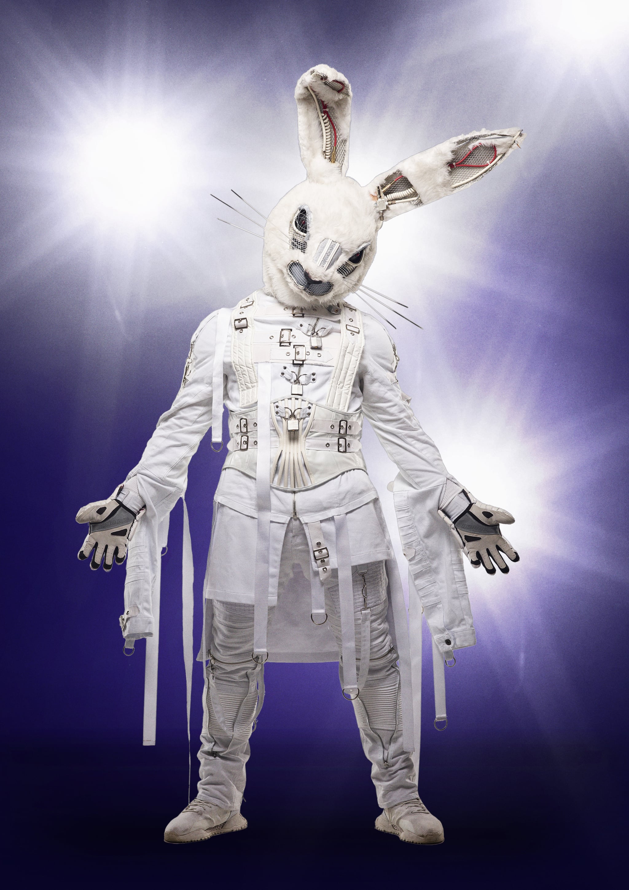 Image result for rabbit masked singer