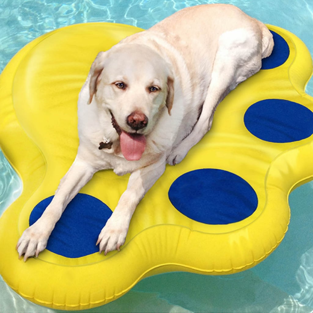 swimways dog float