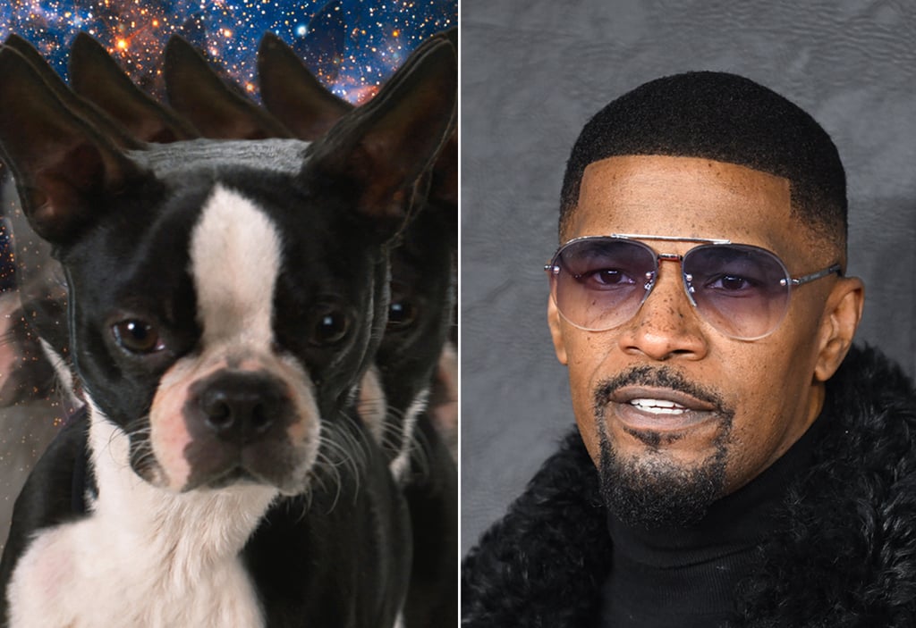 Jamie Foxx as Bug