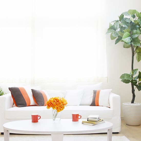 Man Died in an Airbnb Rental Home