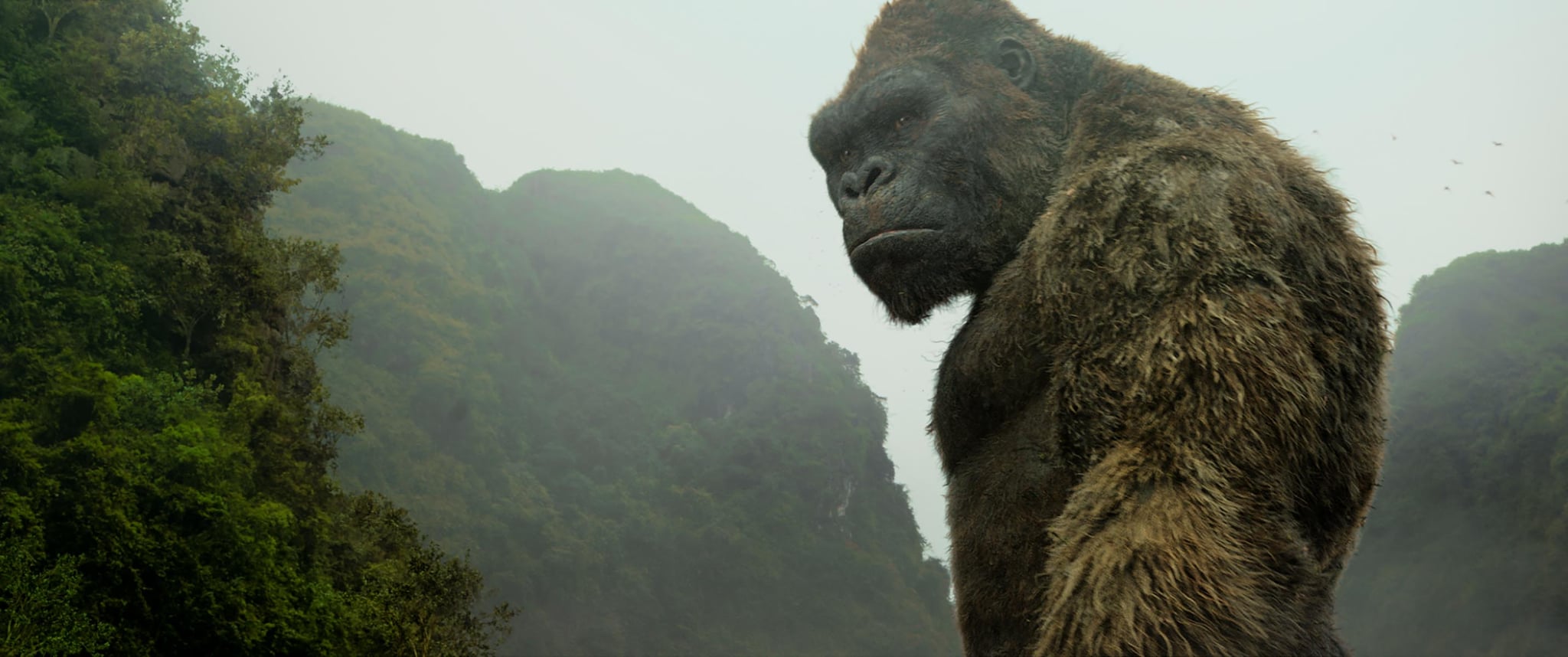 Does King Kong Die In Kong Skull Island Popsugar Entertainment