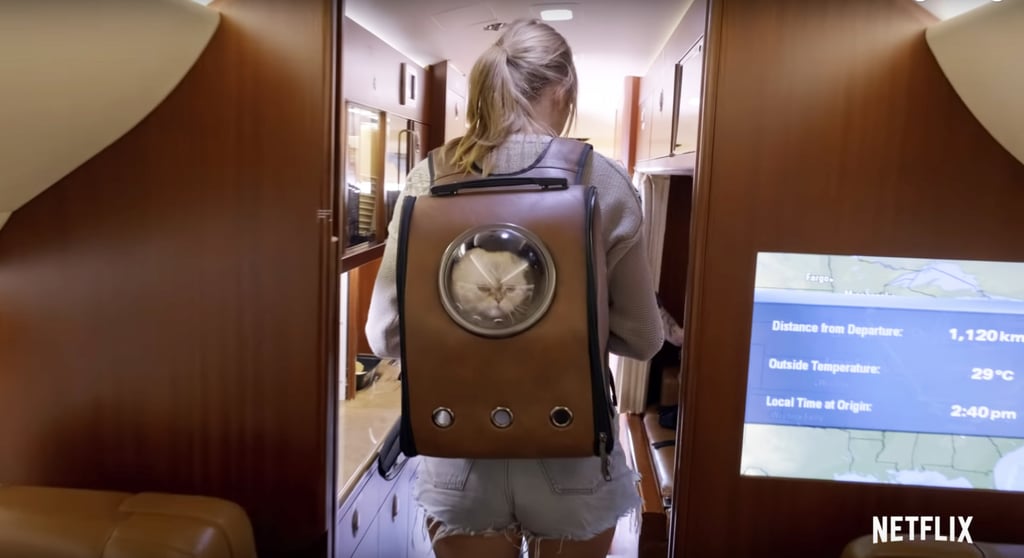 Taylor Swift's Exact Cat Backpack