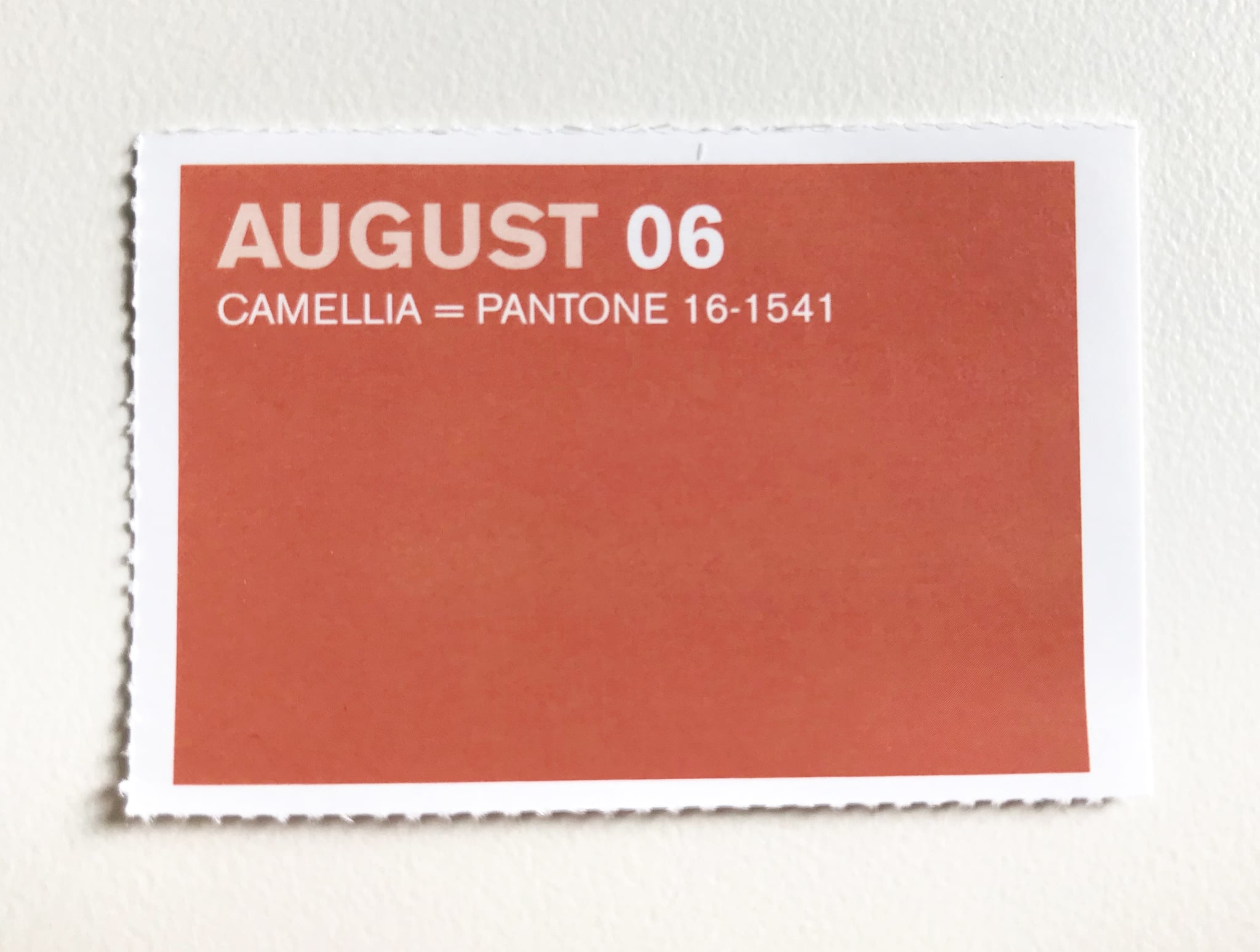 Aug. 6 - Camellia | People With These Birthday Colors Make ...