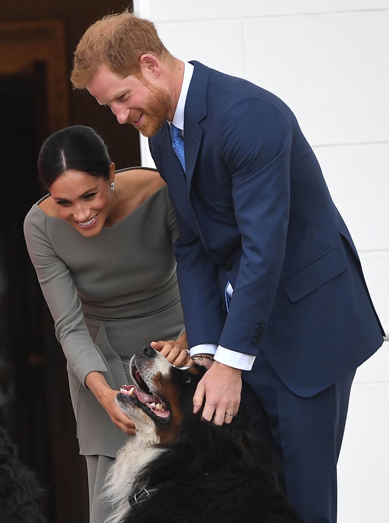 Meghan wore the grey ensemble alongside Prince Harry while the two played with the Irish president's very furry dogs.