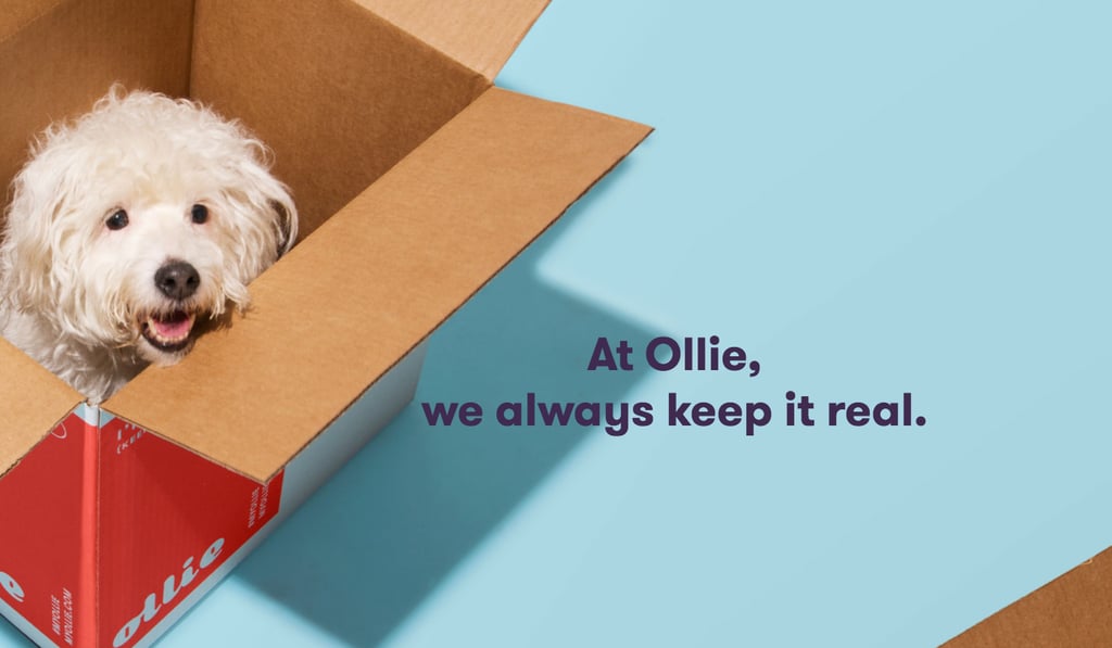 Your dog's diet is about to go to the next level if you try out Ollie ($75/two weeks), a food subscription service for your pup. Ollie customizes recipes based on your dog's unique needs, recommends the perfect portion, and delivers the precise of food to your door ready to serve. It's super easy and gives your dog high-quality food that he'll surely love.