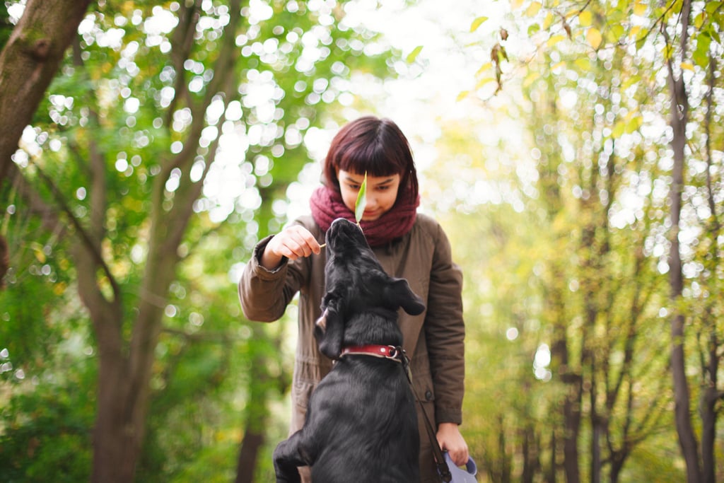 Visit a dog park with your dog.