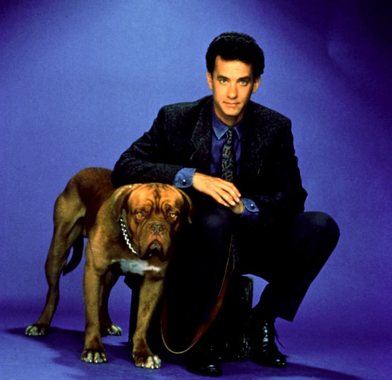 "Turner & Hooch"