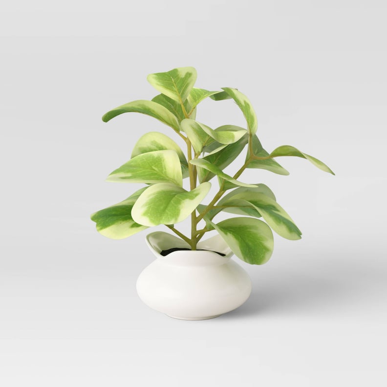 A Small Accent Plant: Opalhouse Artificial Small Peperomia Plant in Ceramic Pot