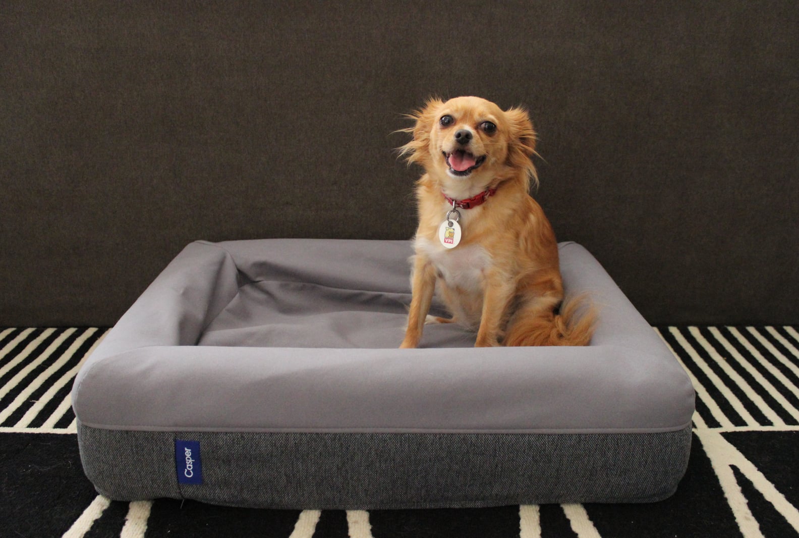 Casper Dog Bed Review POPSUGAR Pets