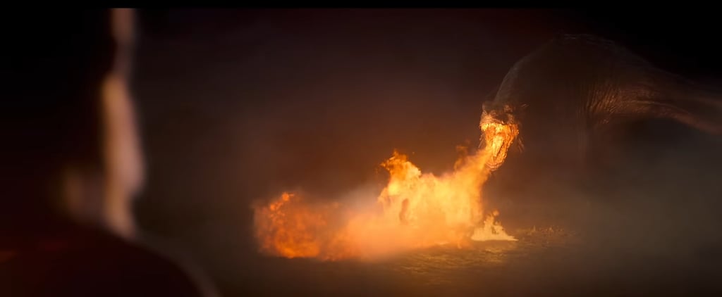 House of the Dragon: Vhagar, Explained